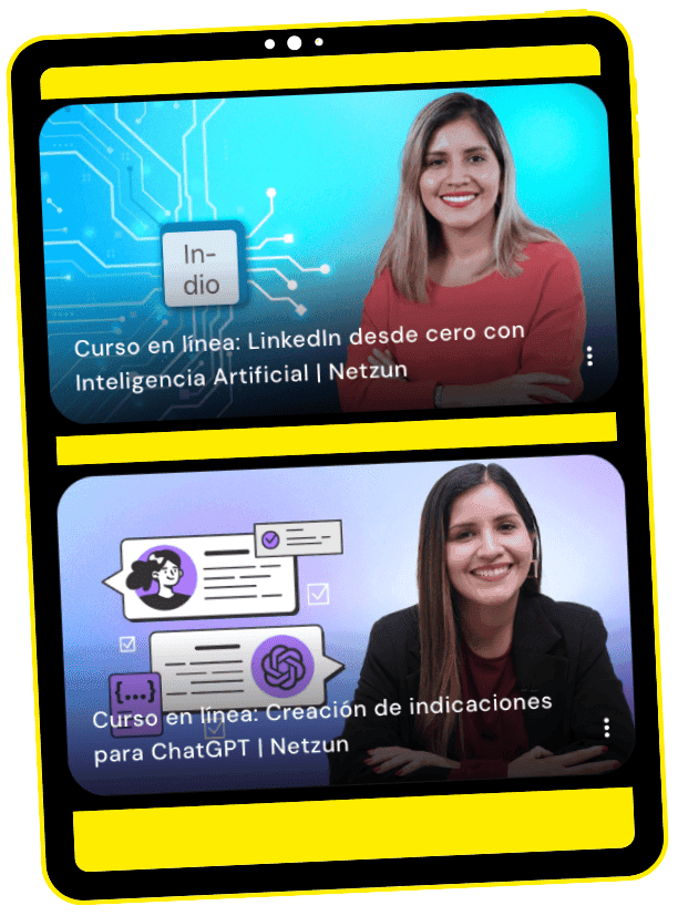 Cursos Netzun